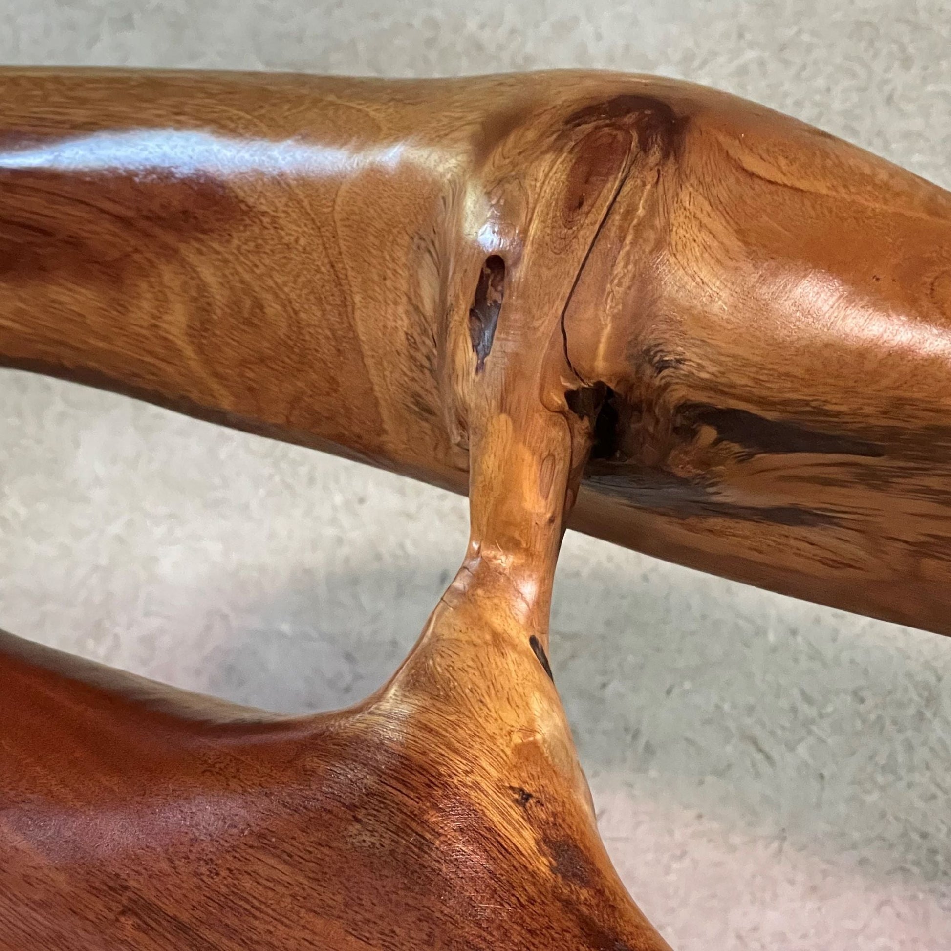 Sculptural, organically shaped solid wooden bench - COLLECTORS RDAM